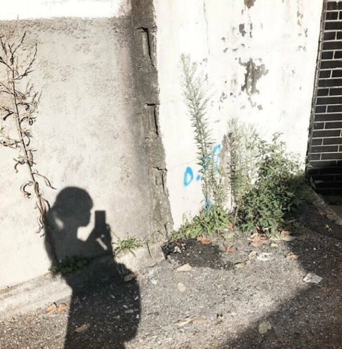 微信图片_20230408111834.png