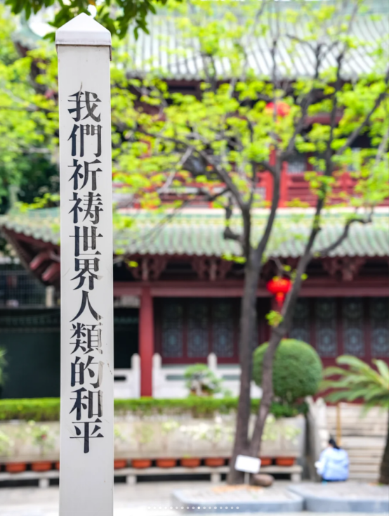d3a6f662846e87681b020b18429eb2a5.png